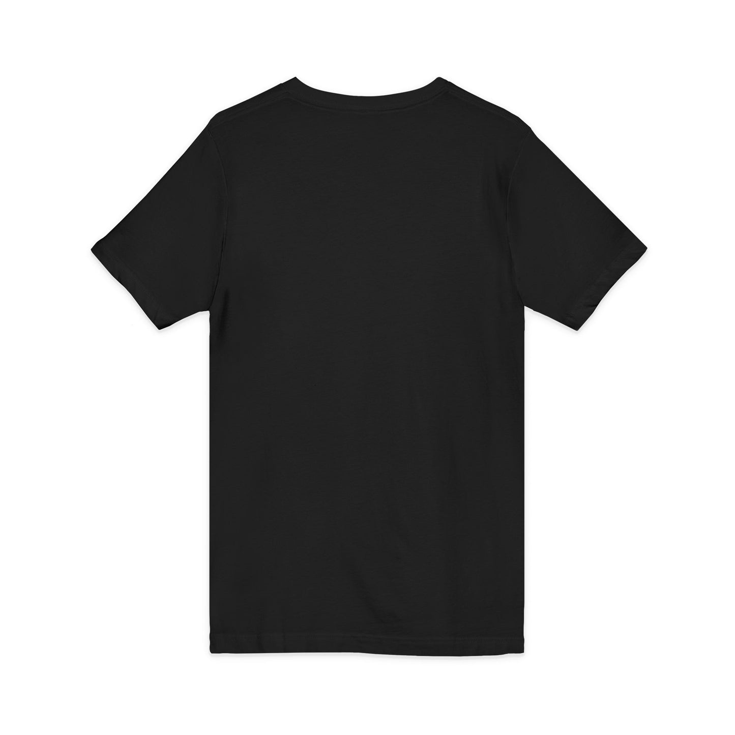 Circle the Date V-Neck Tee — “I’ve Got It” 01/20/29 Announcement Shirt